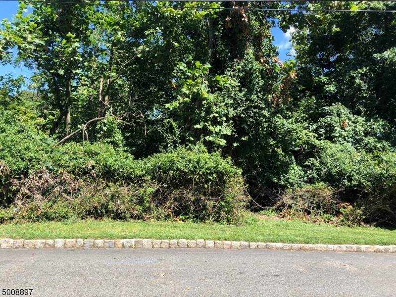 19 Beachmont Ter - Photo 1