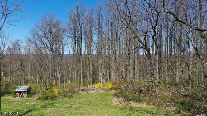0 Pleasant Plains Road - Photo 1