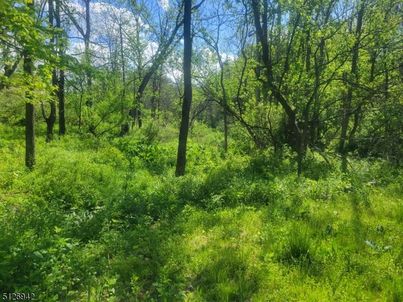 39 Rubin Hill Rd - Photo 1