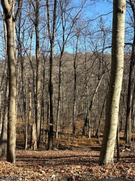 2 Kent Brook Ter - Photo 1