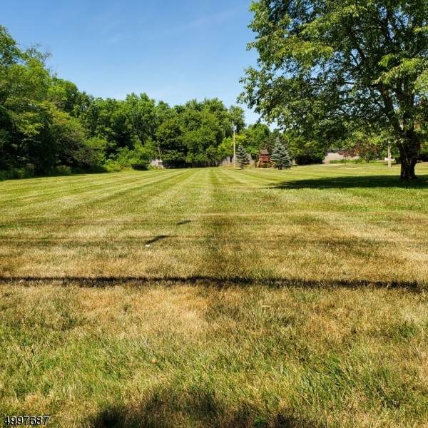 295 Cedar Grove Ln - Photo 1