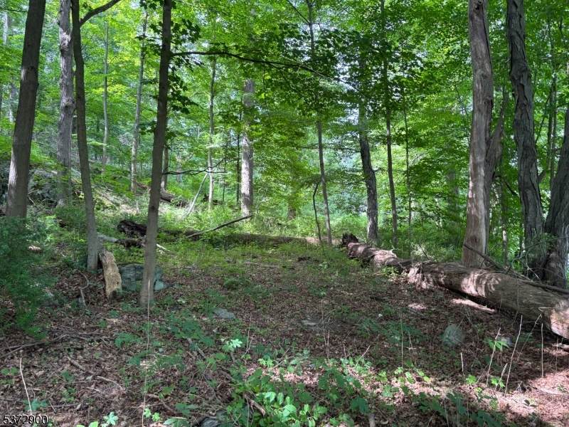 300 Alphano Road - Photo 1