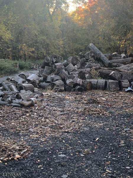 317 Big Piece Rd - Photo 1