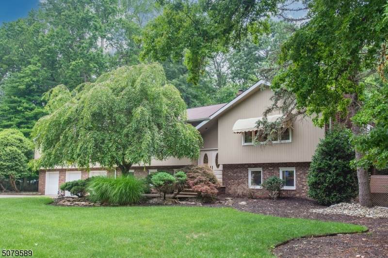 11 Peter Place - Photo 1