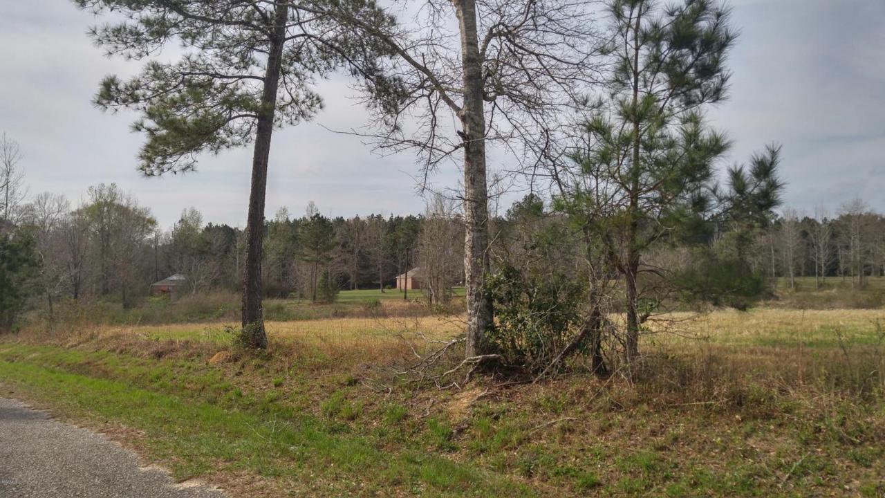 Lot 12 Ms-53 - Photo 1