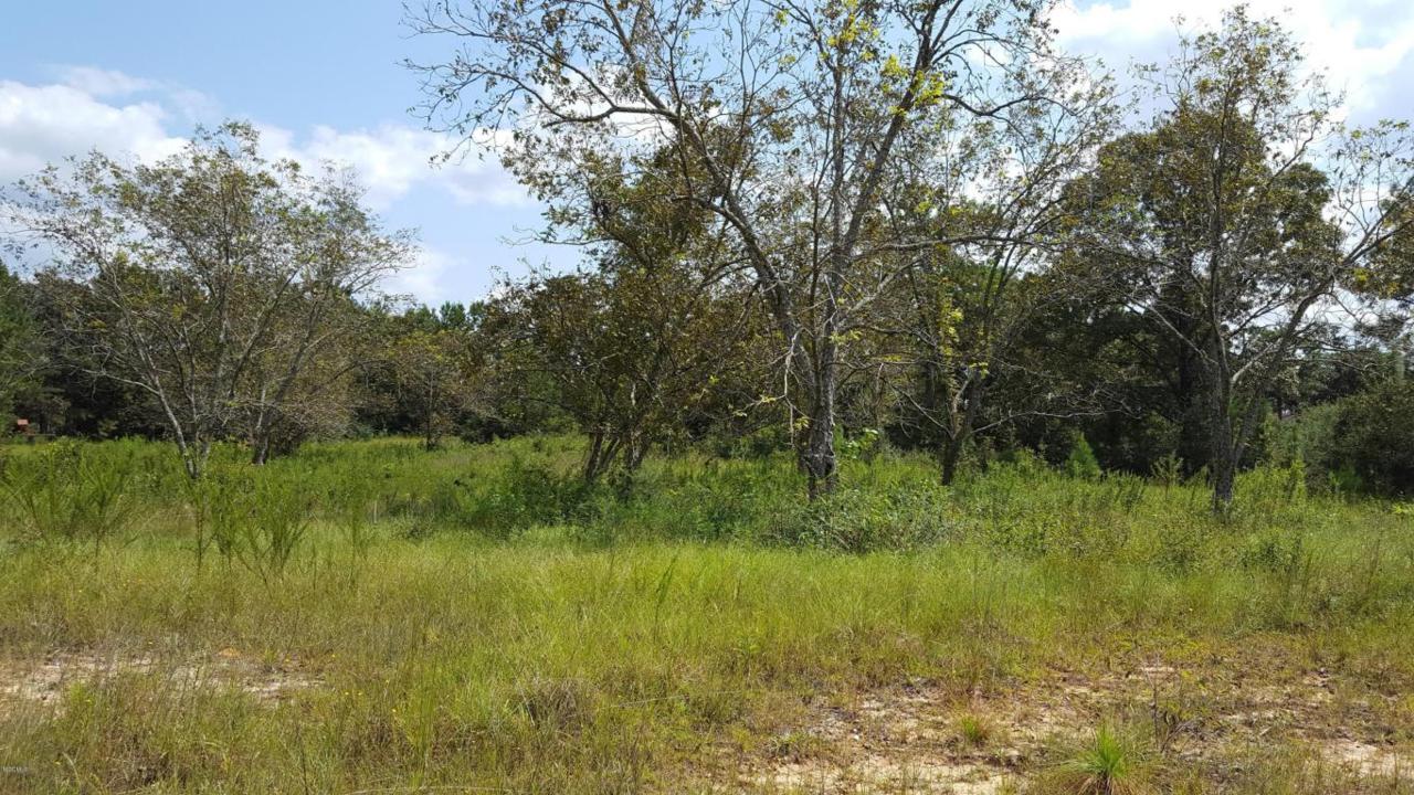 0 Bob Simpson Rd - Photo 1