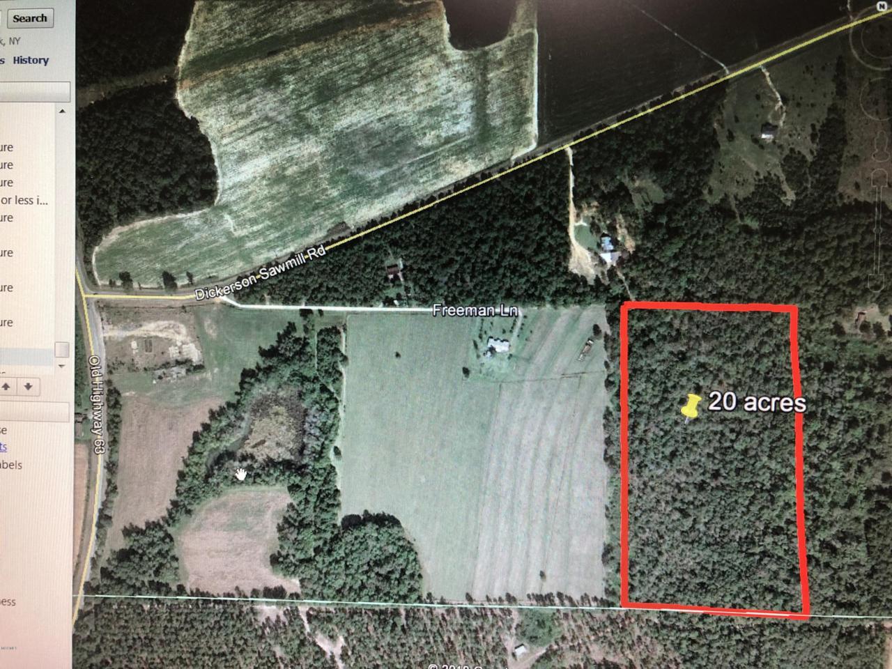 0 Dickerson Sawmill Rd - Photo 1