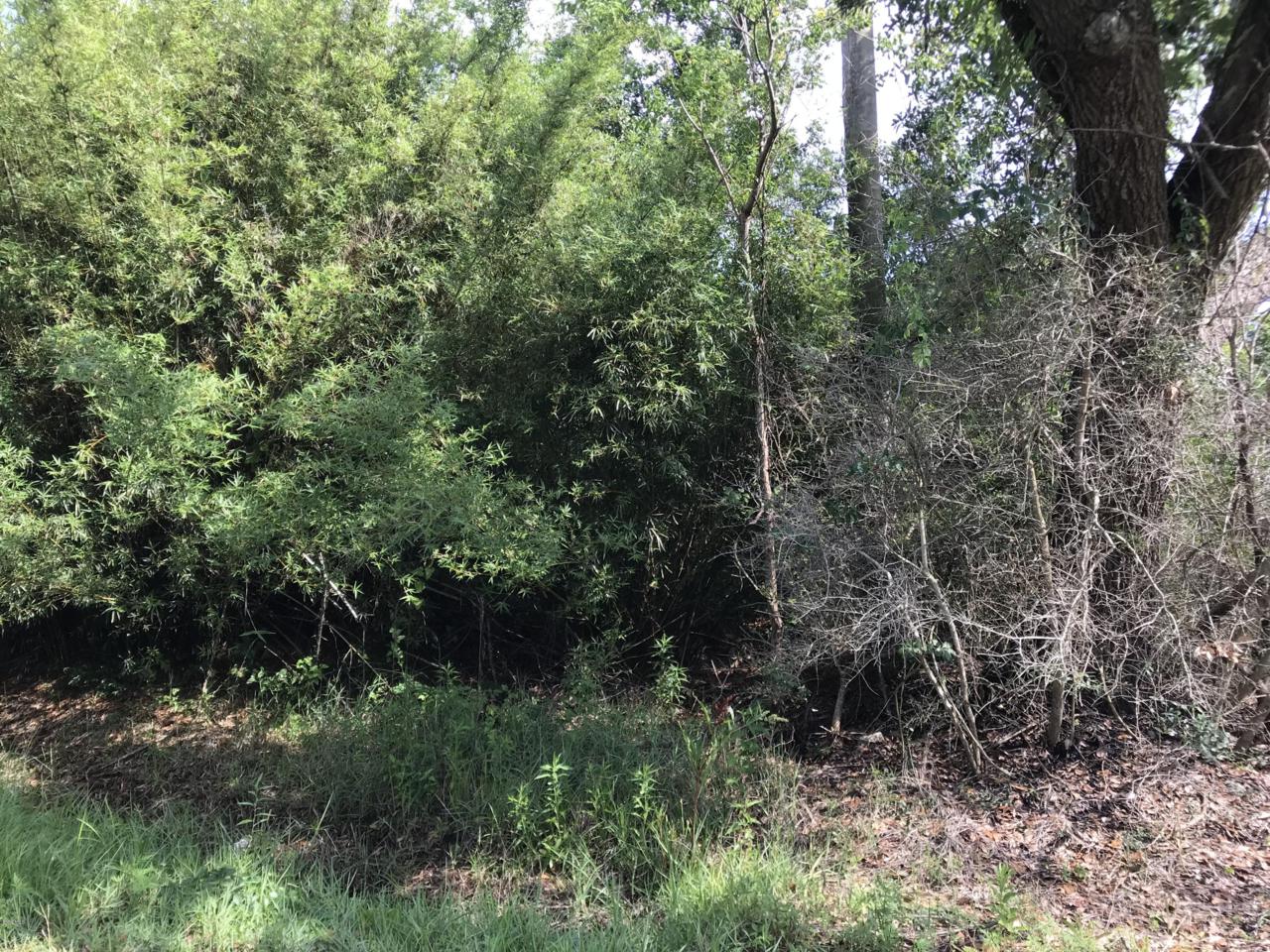 Lot 1 5th St - Photo 1