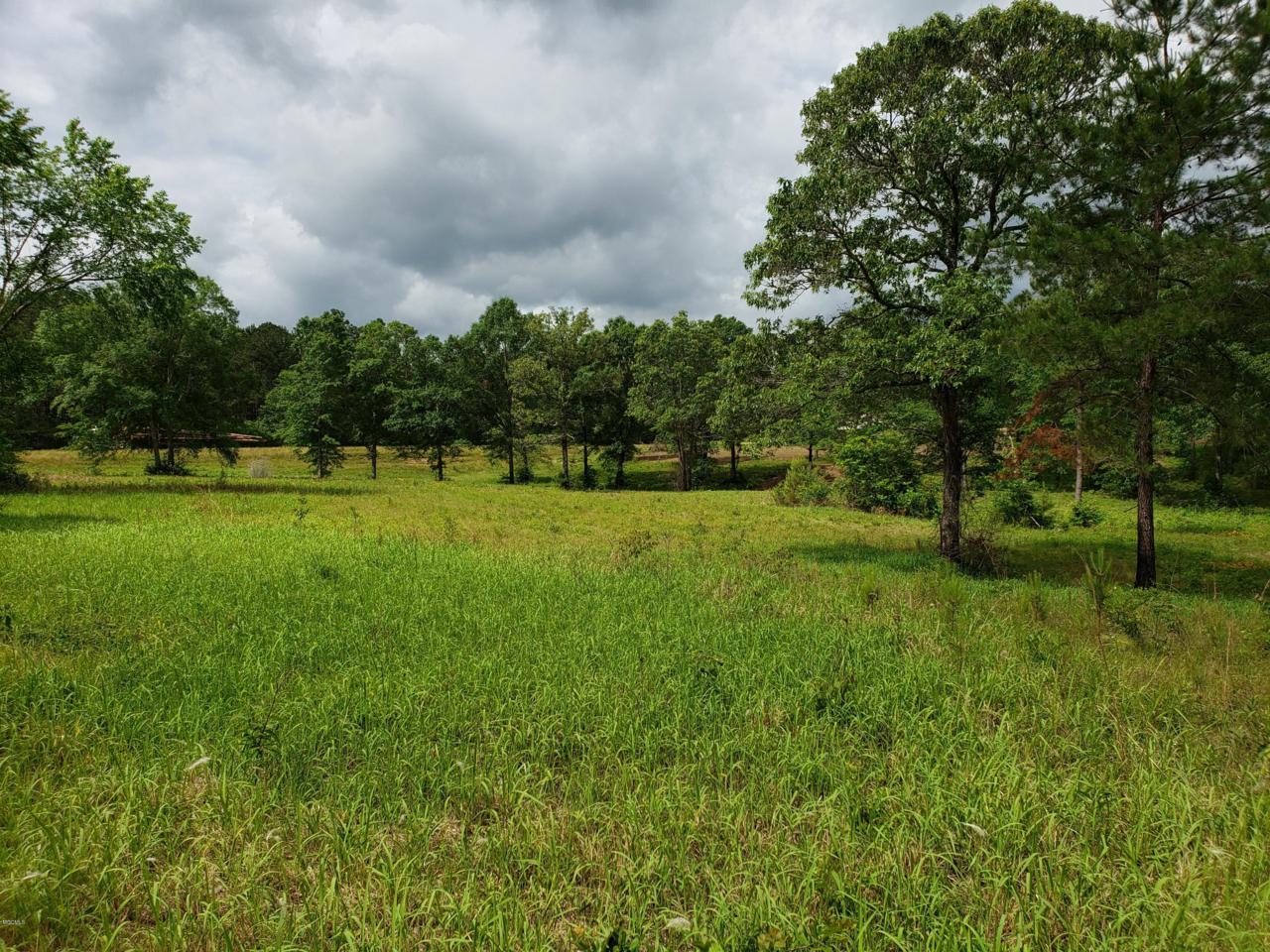 00f Sammy Jo Rd - Photo 1