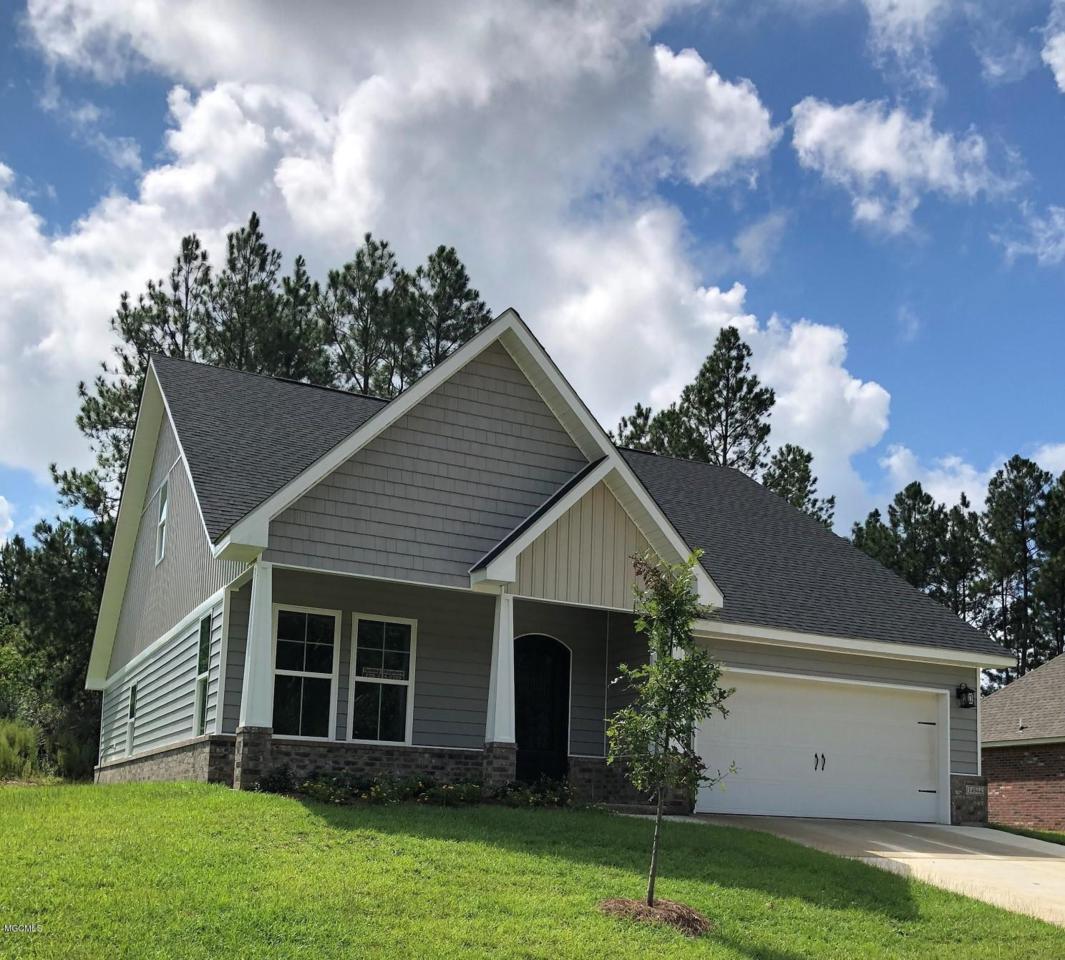 14944 Audubon Lake Blvd - Photo 1