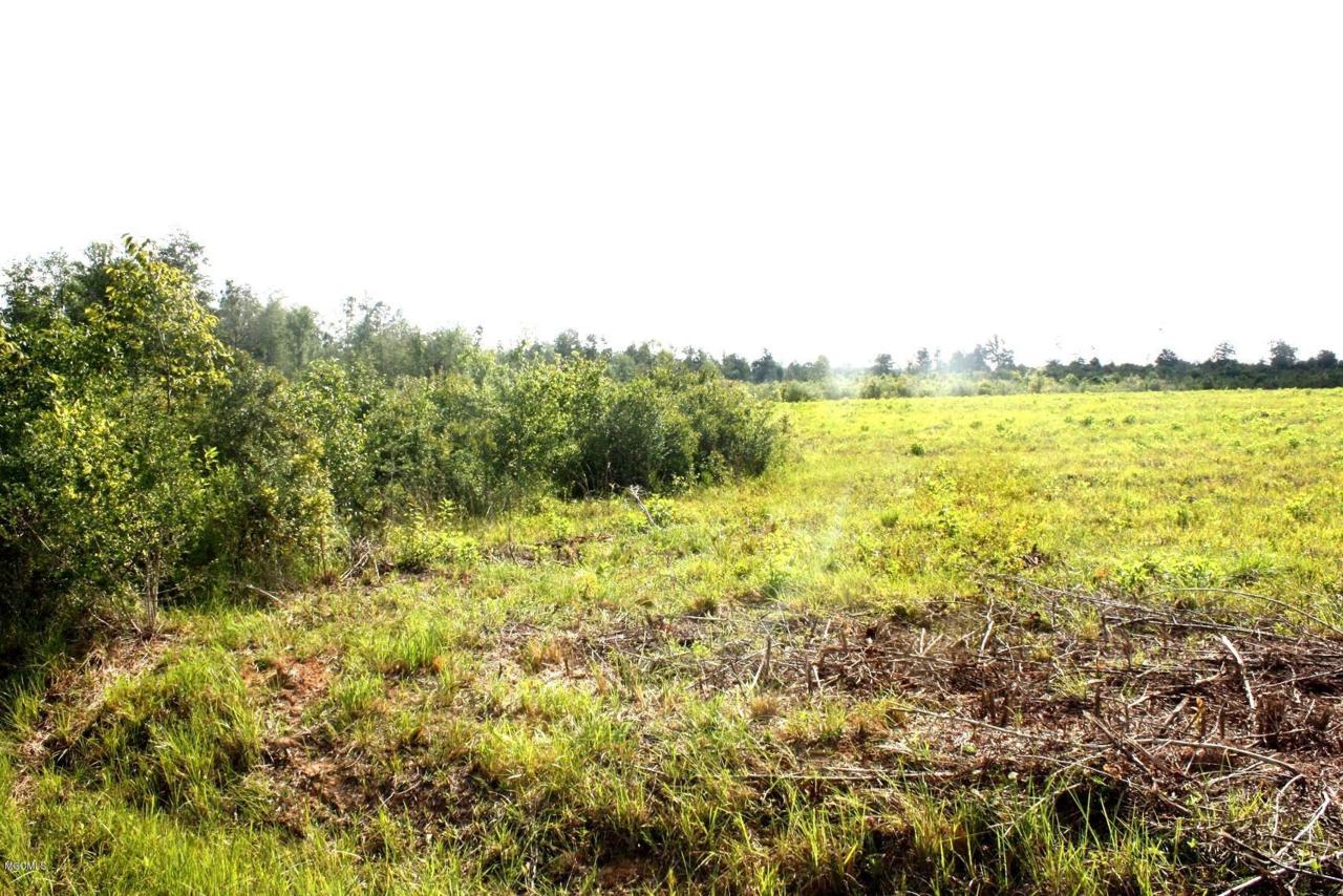 0 B Lake Rd - Photo 1