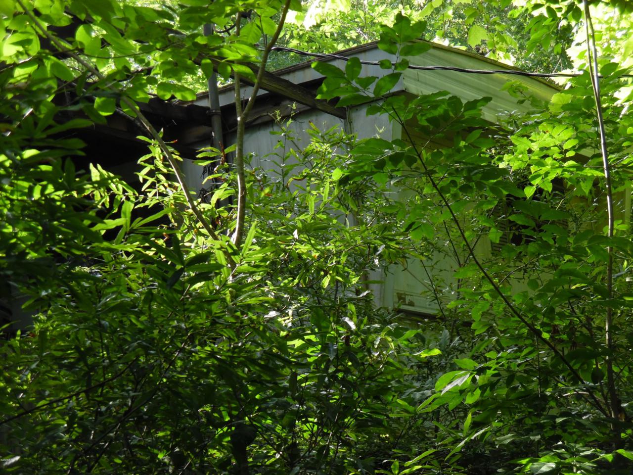 0 Fish Lake Rd - Photo 1