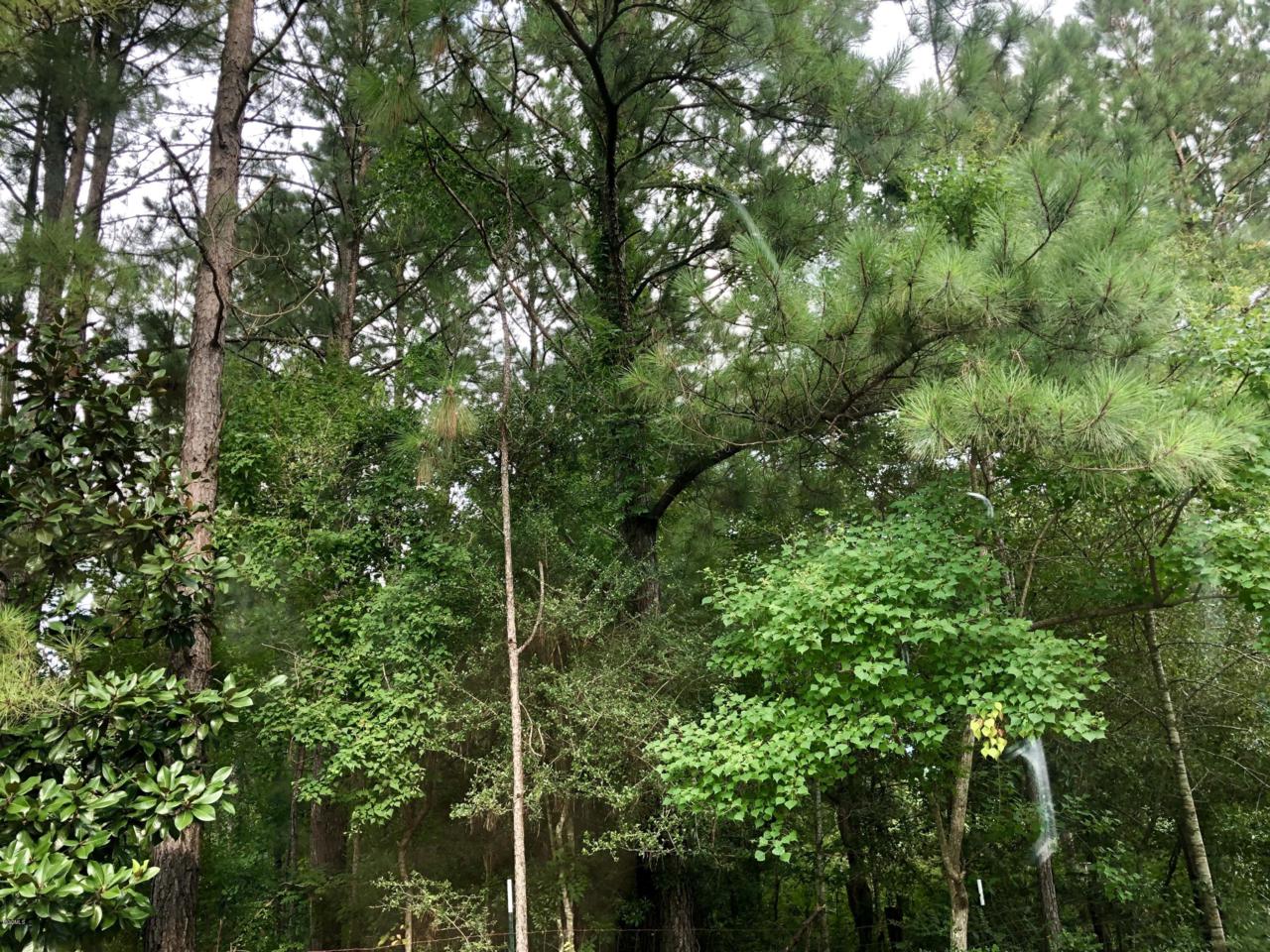 343 Gaines Creek Brewer Rd - Photo 1