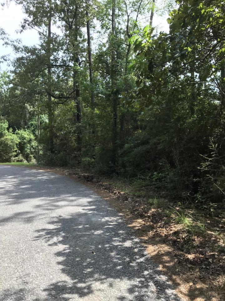 0 Byrd Chapel Rd - Photo 1