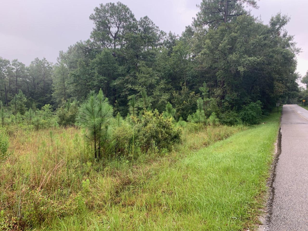 0 Old Hwy 49 - Photo 1