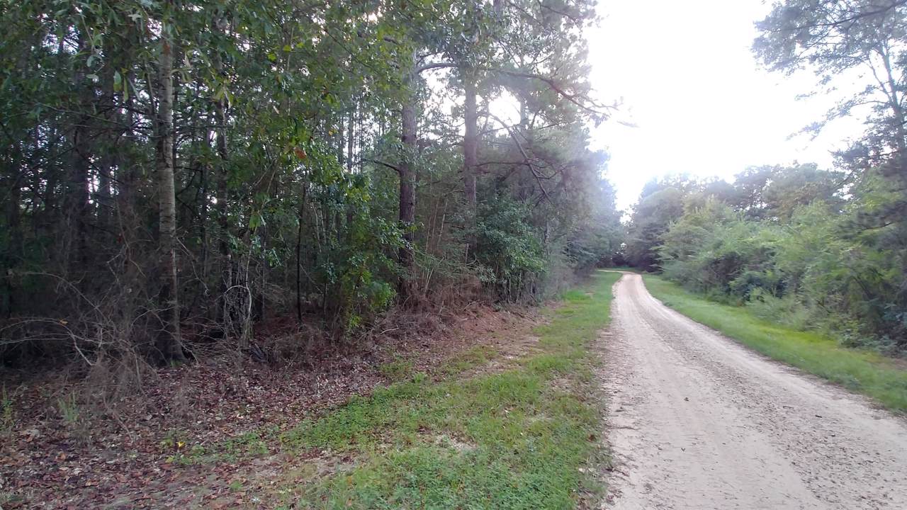 000 Nancy Ln - Photo 1