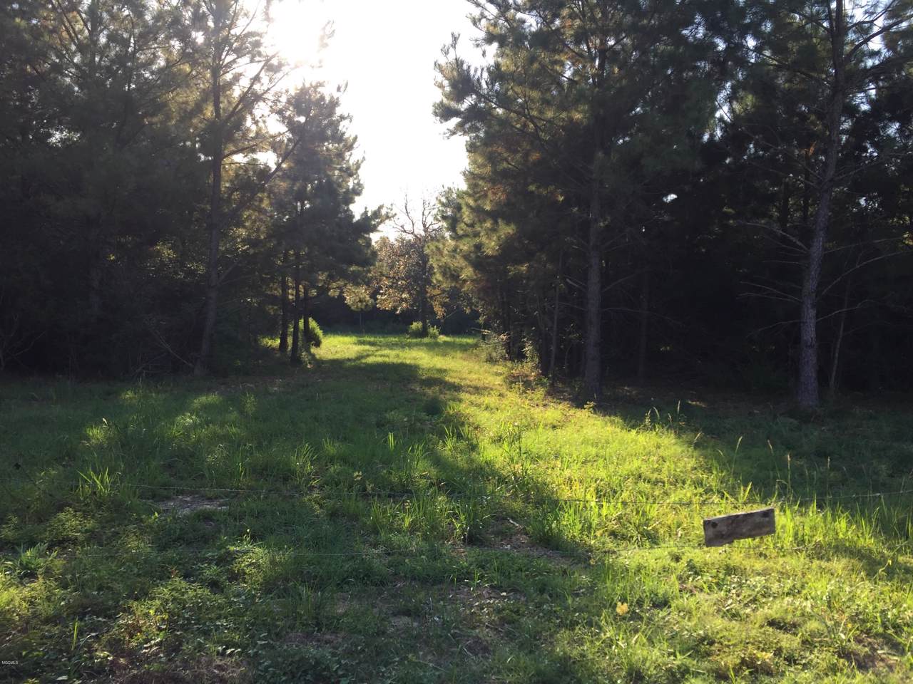 7.9 Ac Carry Byrd Rd - Photo 1