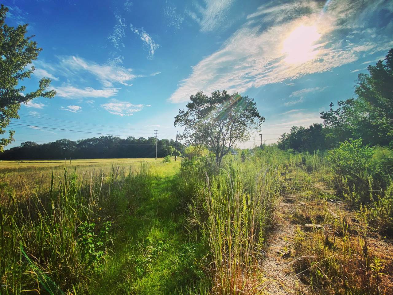 15038 Mills Rd - Photo 1