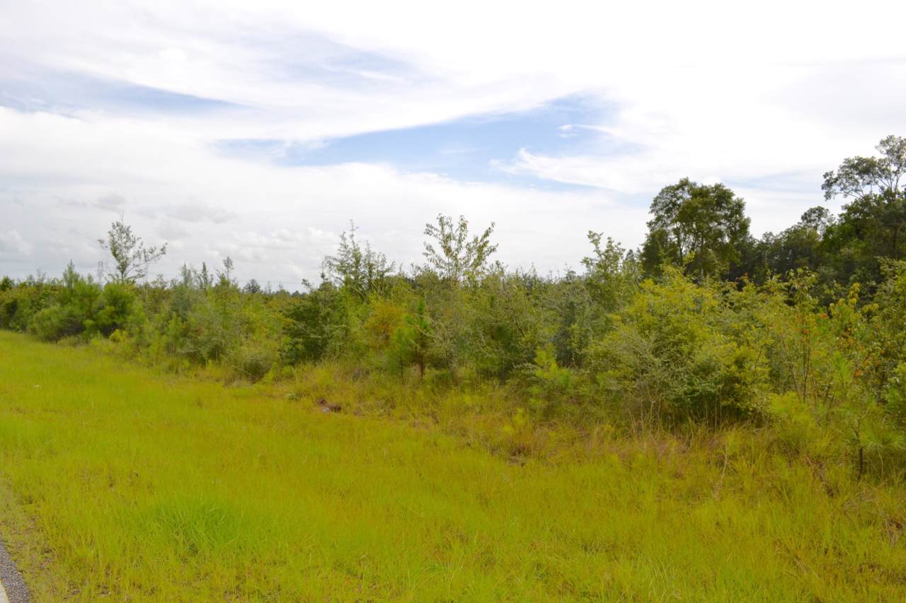 20354 Wortham Rd - Photo 1 20354 Wortham Rd - Photo 1
