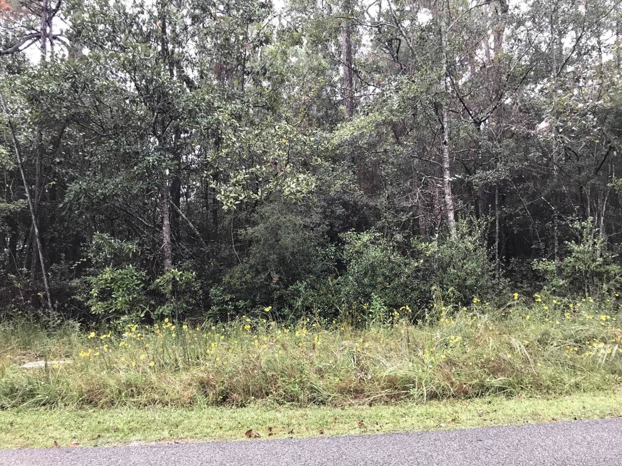 Lot 63 Aupuni Pl - Photo 1