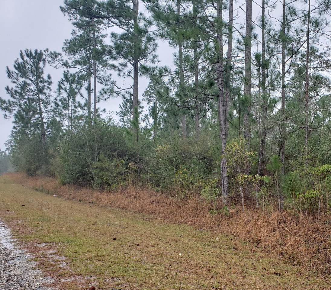 0 Longleaf Dr - Photo 1 0 Longleaf Dr - Photo 1