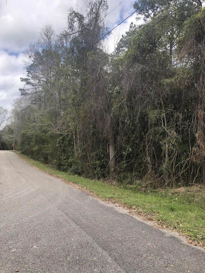 00 Silvercliffe Dr - Photo 1