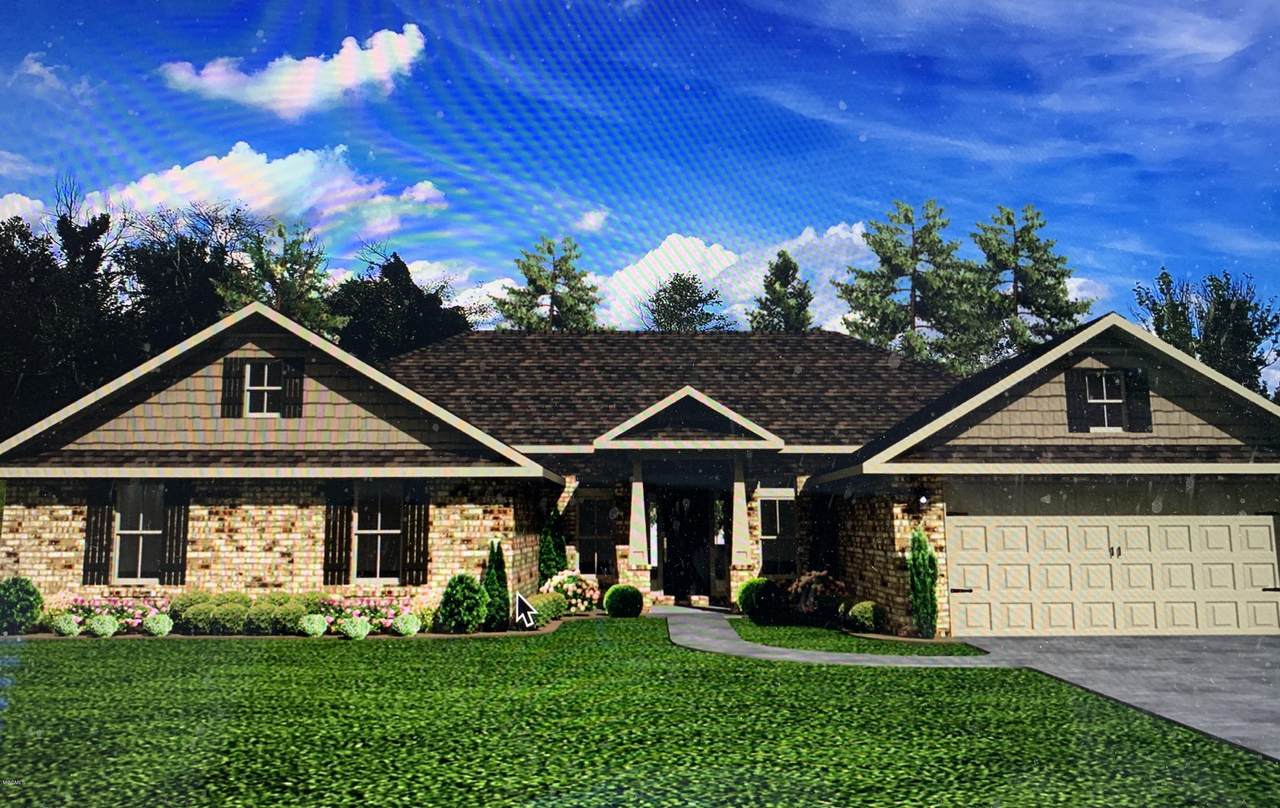 Lot 37 Perdido Dr - Photo 1