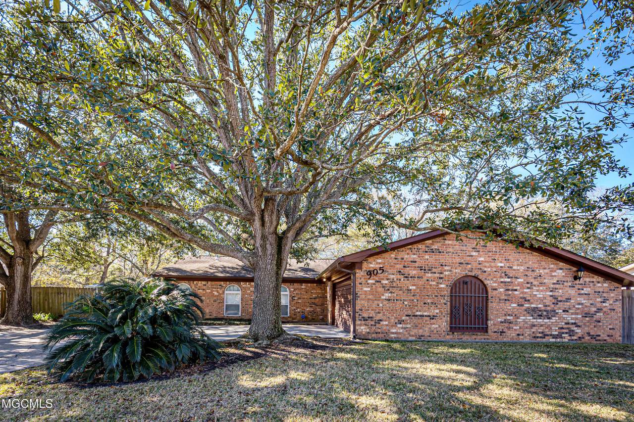 905 Swordfish St - Photo 1