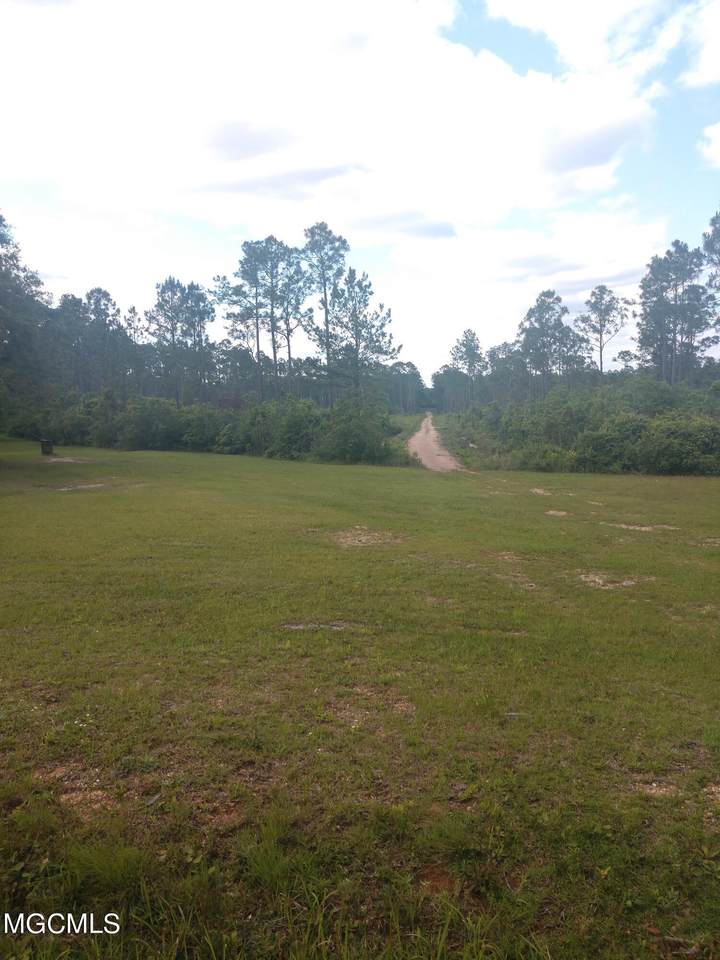 0 Elmer Ladner Rd - Photo 1