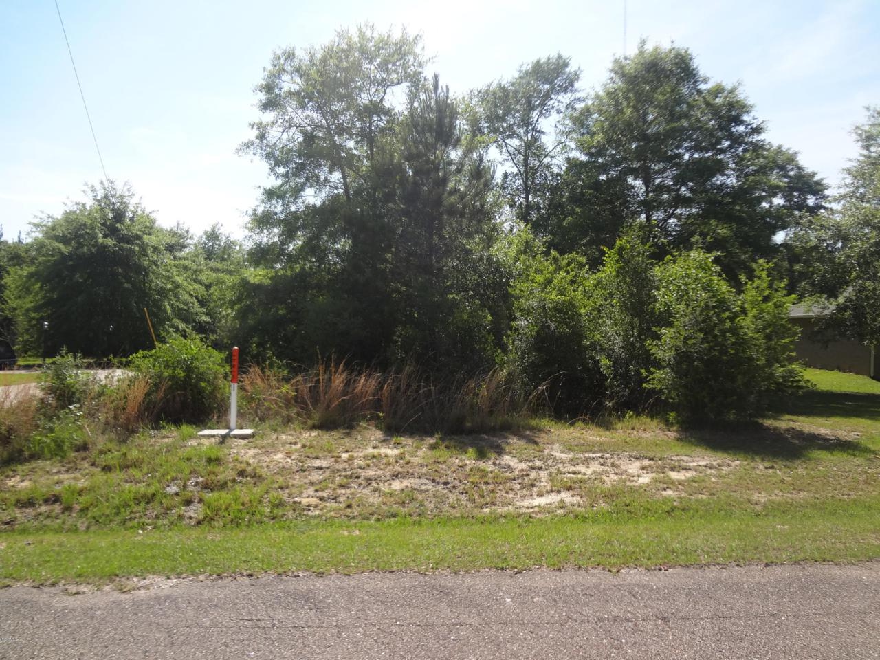 Lot 2 Jacob Michael Dr - Photo 1