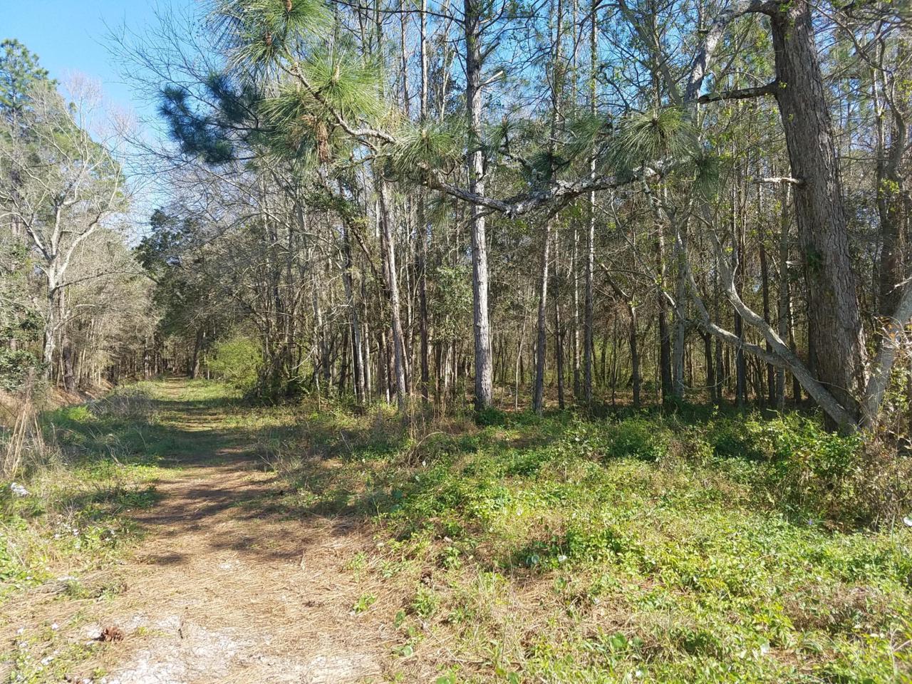 0 Ladnier Rd - Photo 1