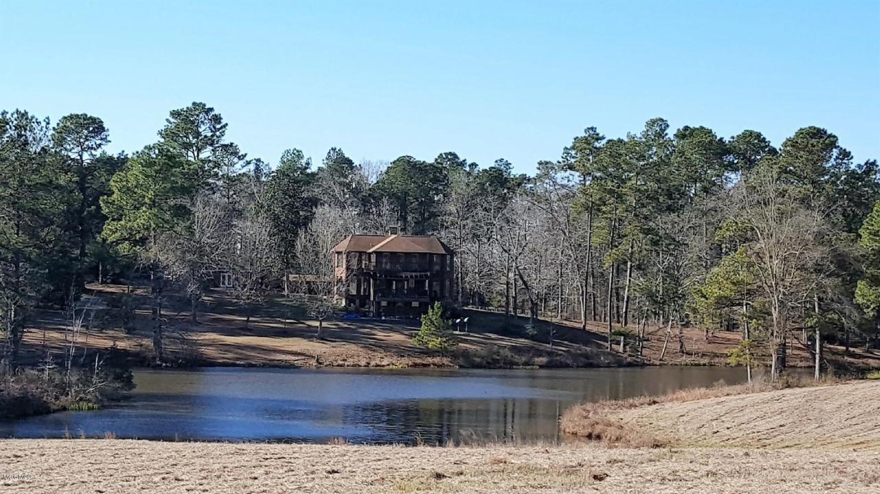 106 Joe Stockstill Rd - Photo 1