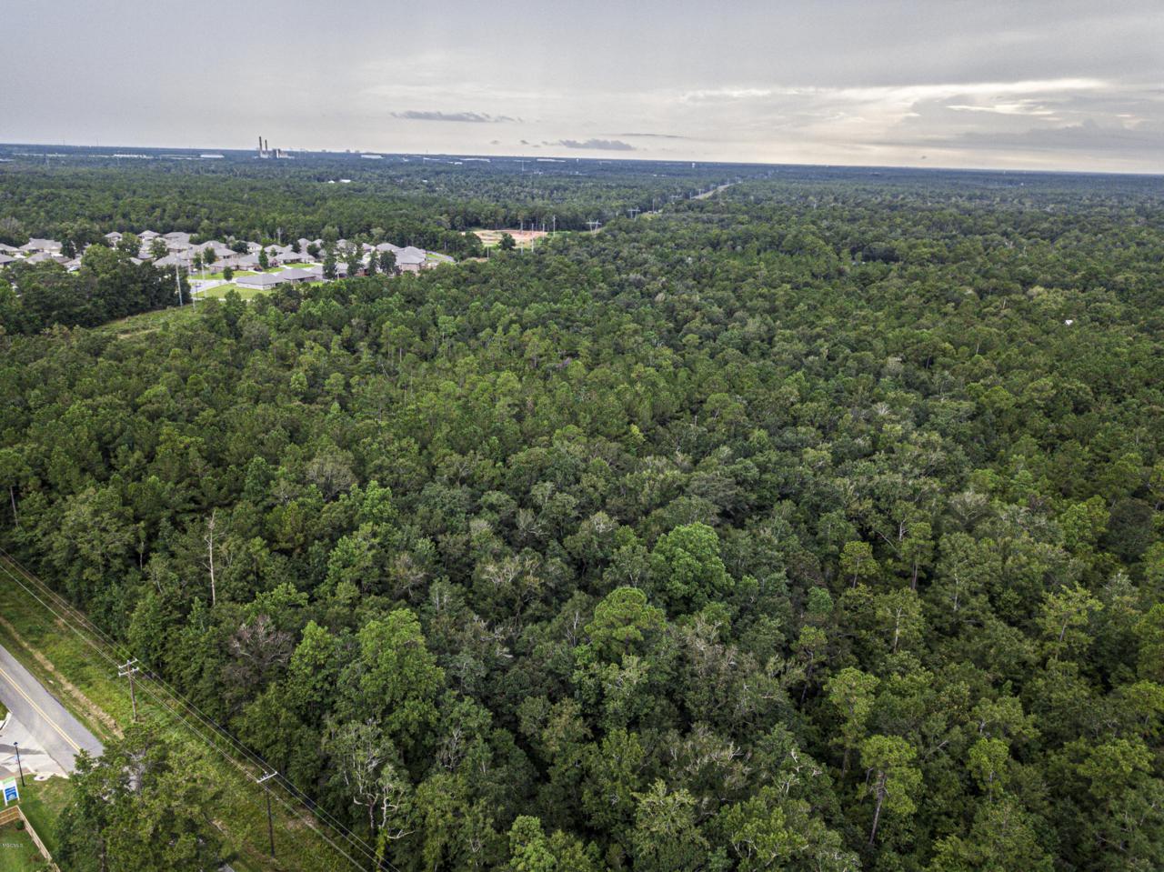 59.7 Acres John Lee Rd - Photo 1