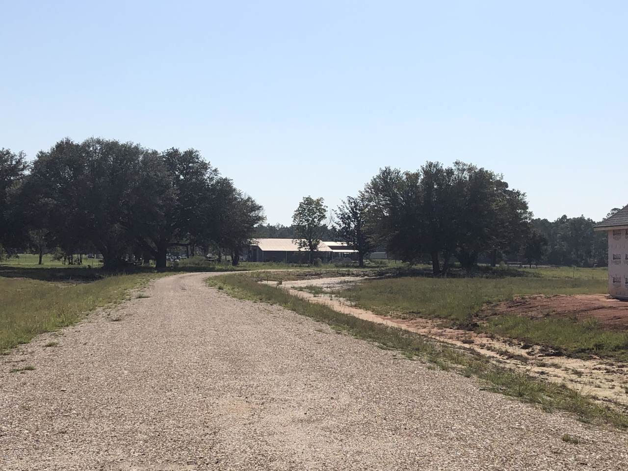 6.68 Acres Daisyvestry - Photo 1