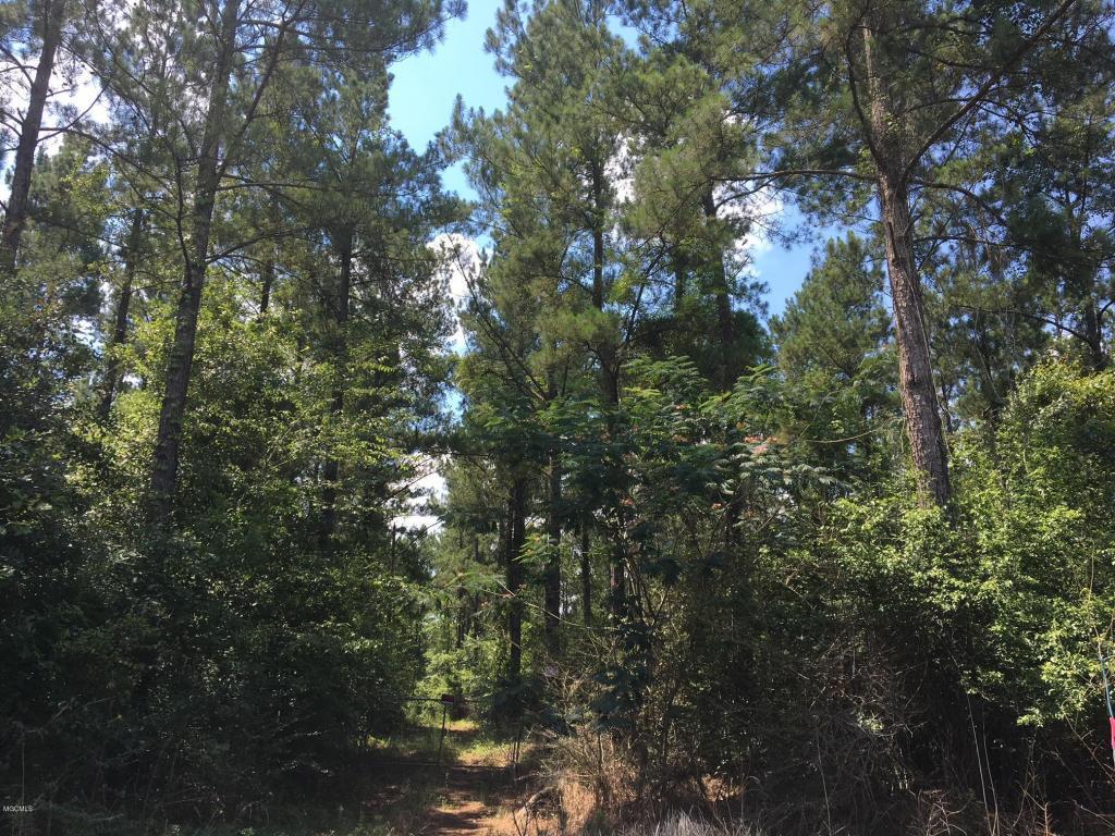 0 Moran Rd - Photo 1