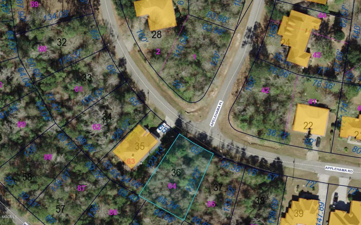 Lot 64 Apelehama Rd - Photo 1