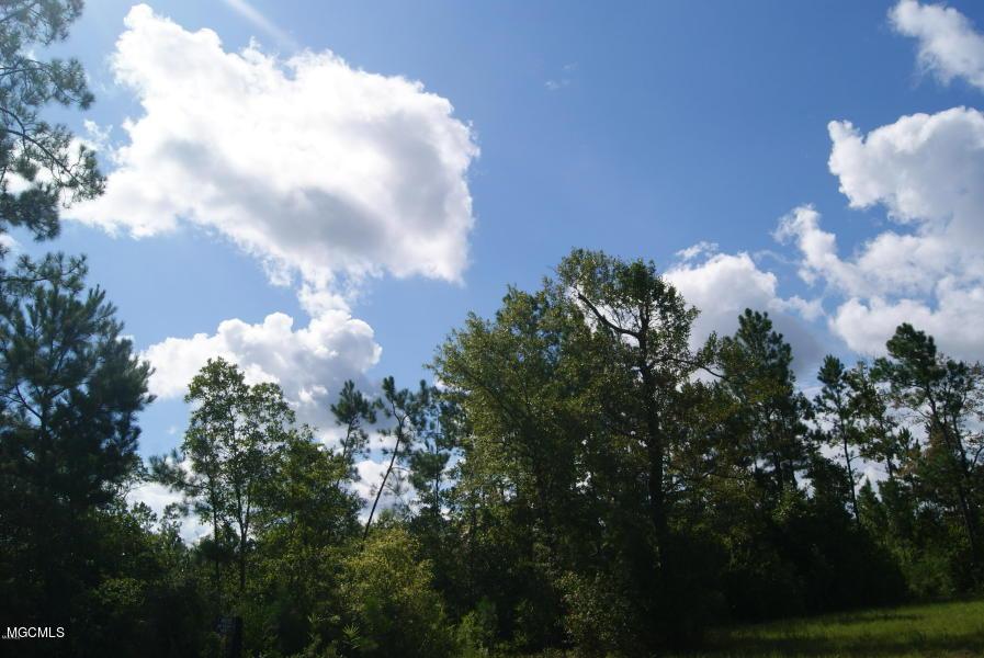 Tbd Mchenry Rd - Photo 1