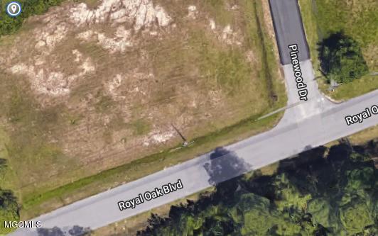 1/2 Acre Royal Oak Blvd - Photo 1