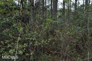 0000 South Of Ansley Rd - Photo 1