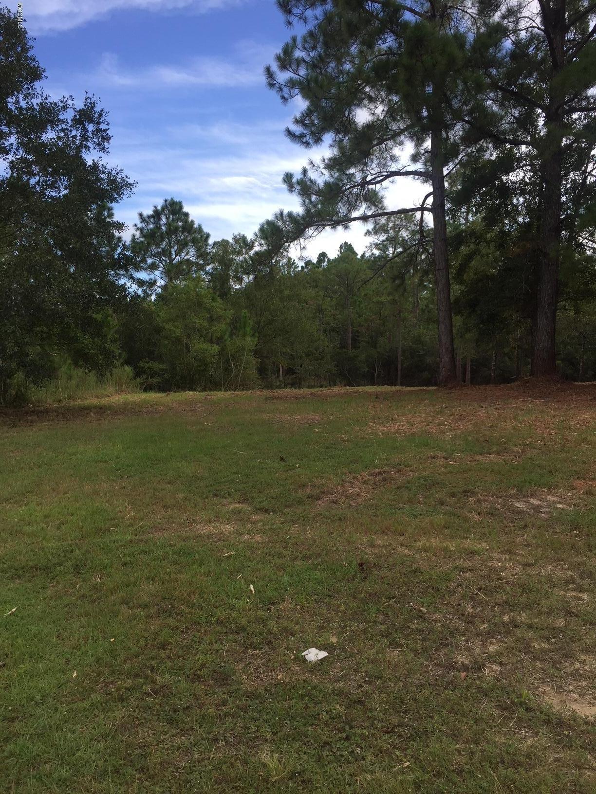0 Calloway Cv - Photo 1