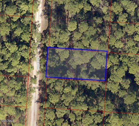 Lot 58 Prier Dr - Photo 1