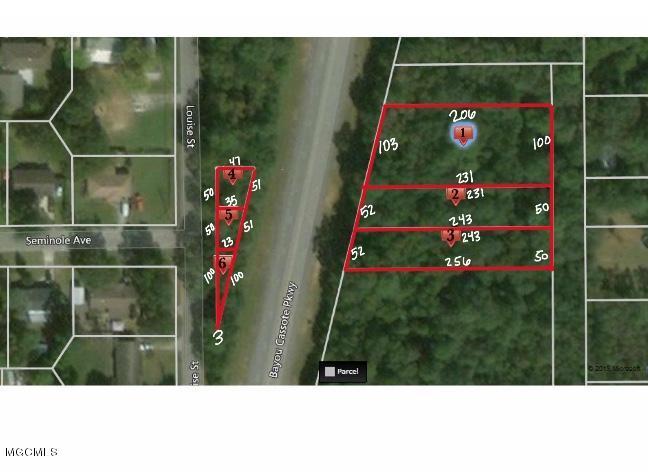 0 Bayou Cassotte Pkwy - Photo 1
