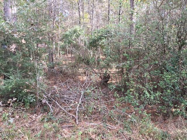 00 Red Bud Ln - Photo 1