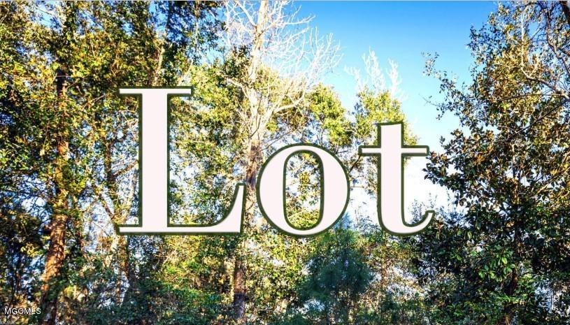 Lot 63 Bonnie St - Photo 1