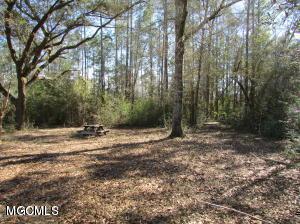 13601 Alcede Lizana Rd - Photo 1