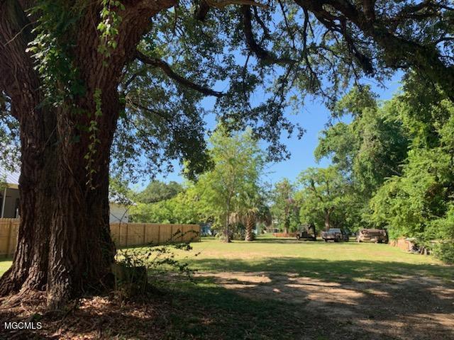 246 Ballentine St - Photo 1