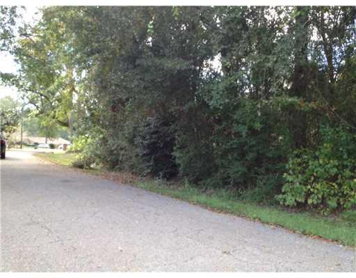 1904 Shady Point Cir - Photo 1