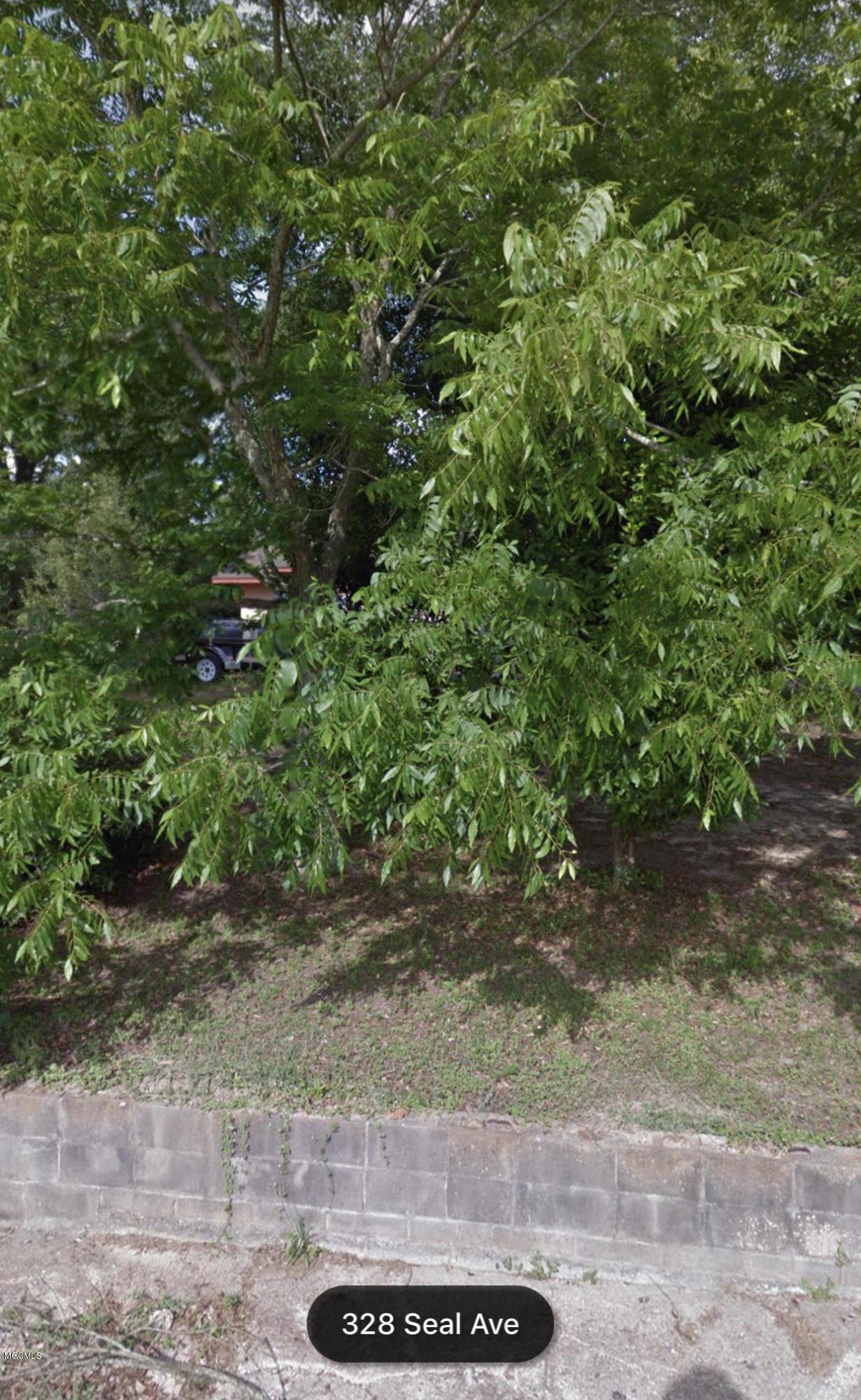 368 Seal Ave - Photo 1