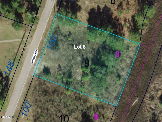 117 Pogo Rd - Photo 1