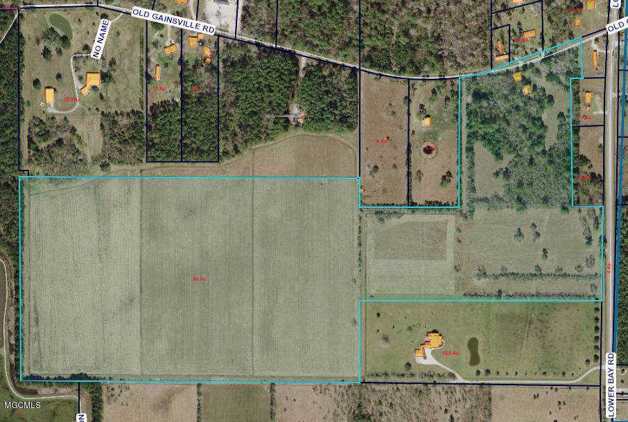 0 Lower Bay / Old Gainesville Rd - Photo 1